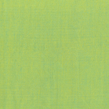 40171-44-1-0155Y000004enJdQAI.jpg