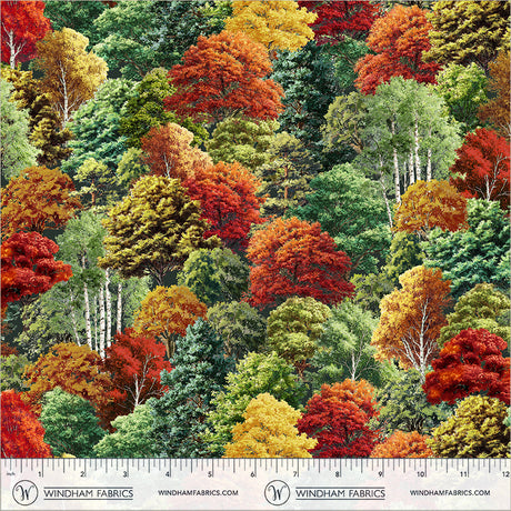 55472D-1-2-015Ud00000DTmMlIAL.jpg