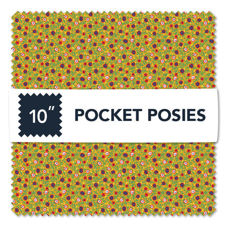 CP10POCK-X-1-015Ud00000EDcXGIA1.jpg