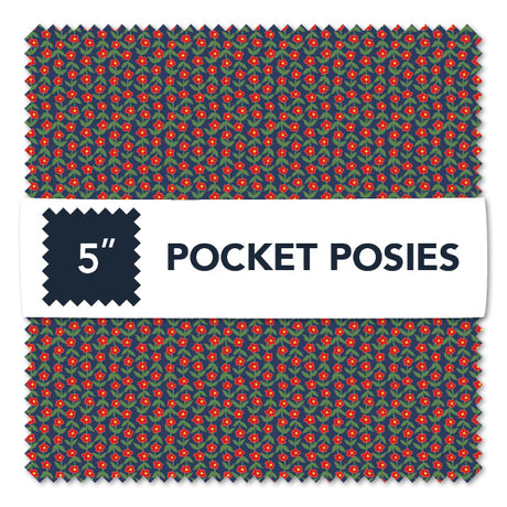 CP5POCK-X-1-015Ud00000EDcQoIAL.jpg